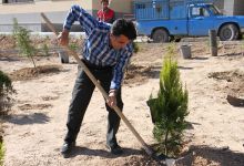 گزارش تصویری مراسم روز درخت کاری و تقدیر از نیروهای باغبانی دانشگاه